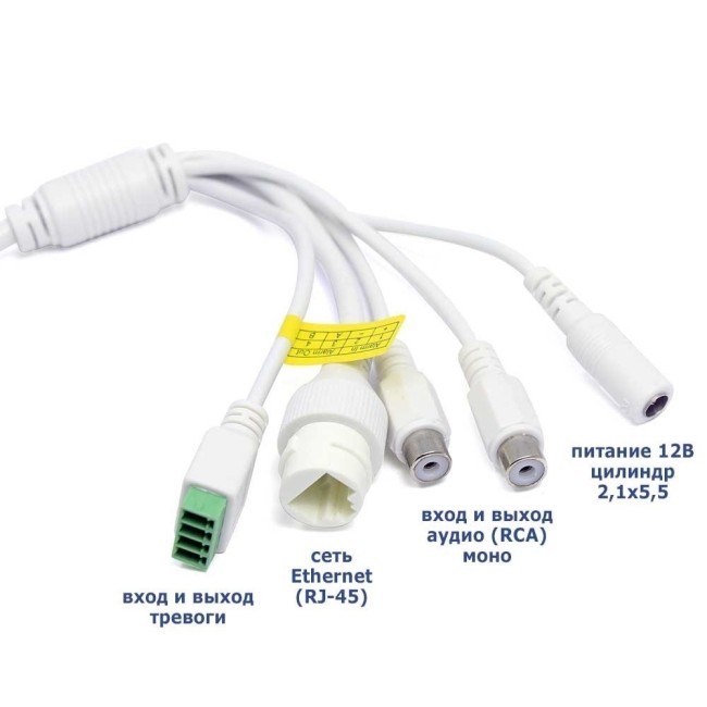 AC-IDV503ZAS - купольная IP видеокамера 5Мп AC-IDV503ZAS - купольная IP видеокамера 5Мп