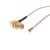 Адаптер для модема (пигтейл) U.fl(IPEX)-SMA(female)угловой кабель RG178 20см. комплект 20 шт